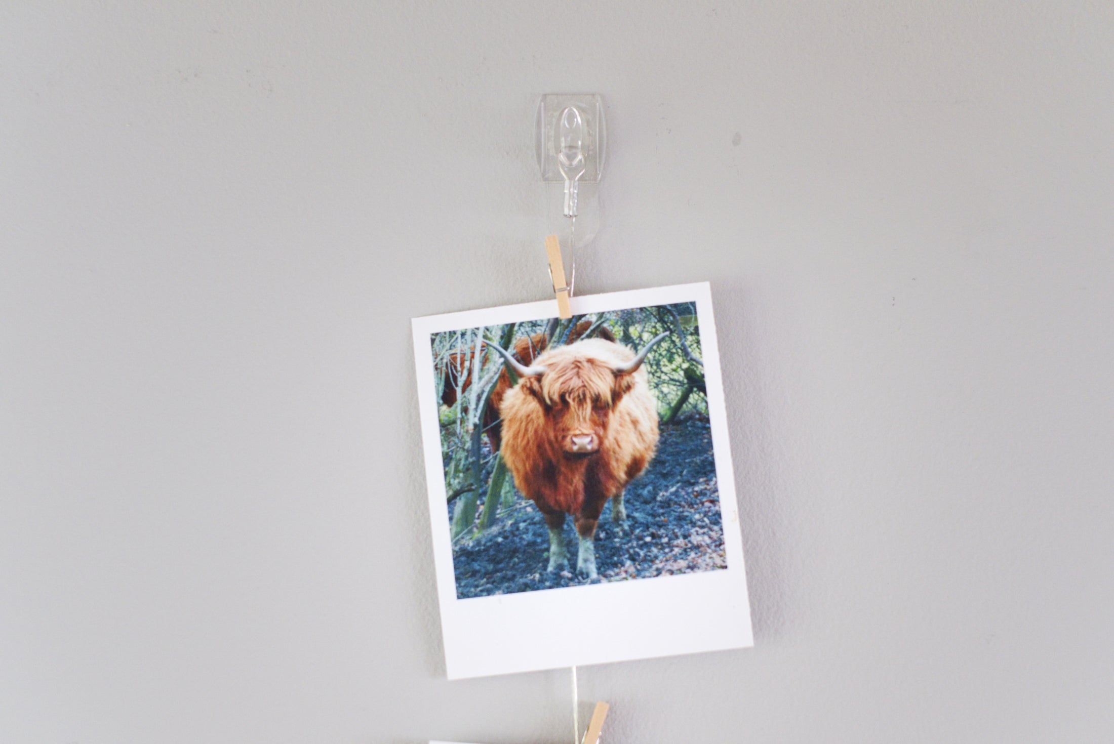 Vertical cable photo display
