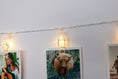 Load image into Gallery viewer, LED clothes peg photo hanger
