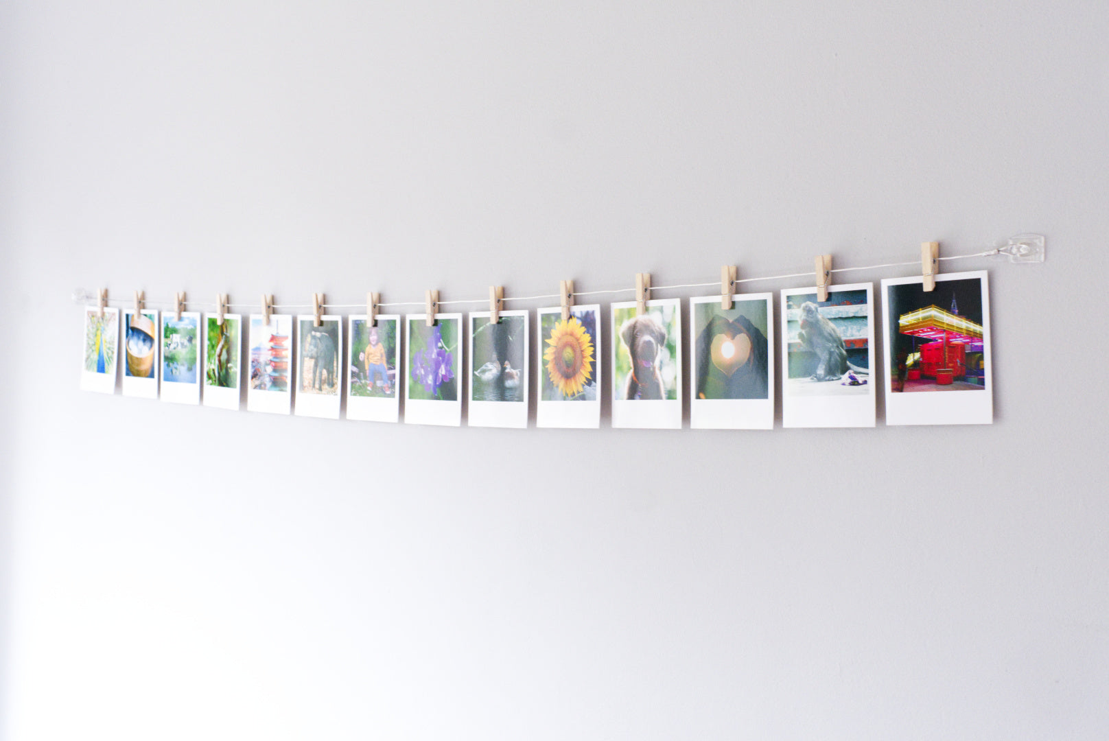 Horizontal cable photo display