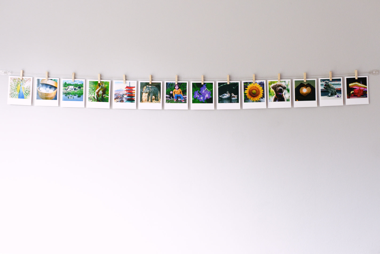 Horizontal cable photo display