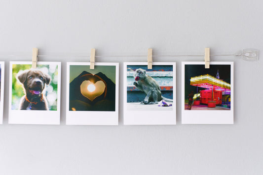 Horizontal cable photo display