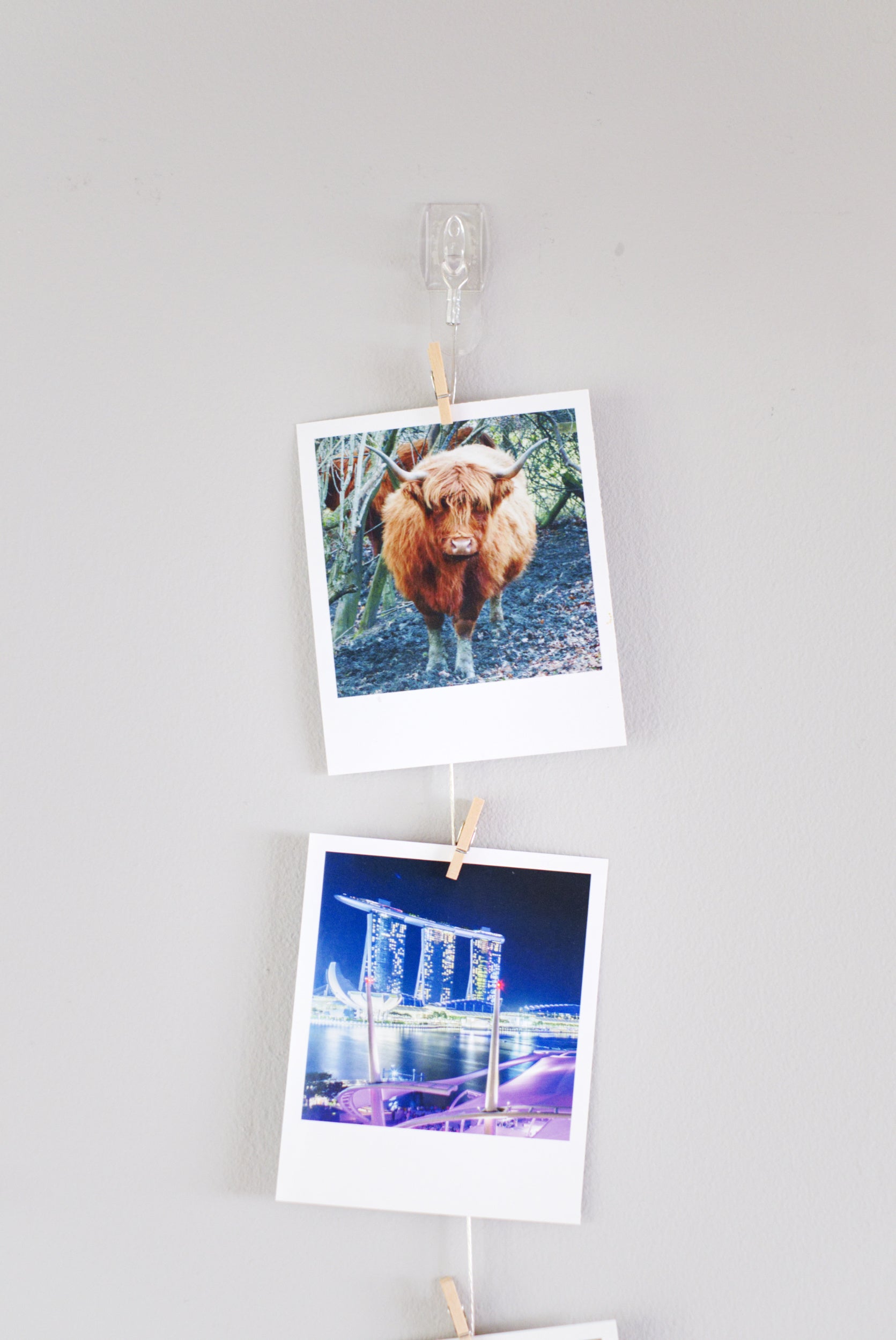 Vertical cable photo display